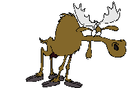 Animated Moose #1